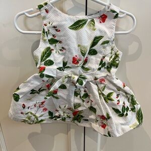 Ginger snaps 6m Floral Sleeveless Dress with Bow